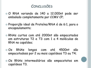 CONCLUSÕES
 O RNA variando de 140 a 12.000nt pode ser
embalado completamente por CCMV CP;
 Proporção ideal de Proteína/RNA é de 6:1, para o
encapsulamento;
 RNAs curtos com até 2000nt são empacotados
em estruturas T2 e T3 com 1 a 4 moléculas de
RNA no capsídeo;
 Os RNAs longos com até 4500nt são
empacotadoss por 2 ou mais capsídeos T3 ou T4;
 Os RNAs intermediários são empacotatos em
capsídeos T3.
 