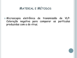 MATERIAL E MÉTODOS
 Microscopia eletrônica de transmissão de VLP:
Coloração negativa para comparar as partículas
produzidas com a do vírus;
 