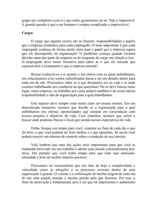 grupo um verdadeiro team é o que todos gostaríamos de ter. Não é impossível.
A grande questão é que o ser humano é sempre complicado e imprevisível .
Cargos
O cargo que alguém exerce são as funções, responsabilidades e papéis
que a empresa estabelece para cada empregado. O mais importante é que cada
empregado conheça de forma muito clara qual o papel que a empresa espera
que ele desempenhe na organização! O problema começa quando existem
dúvidas tanto por parte da empresa ou do ocupante do cargo em relação a isso.
O empregado deve tomar iniciativa para saber se o que ele entende que
esperam dele é exatamente o que a empresa entende!
Buscar conhecer-se a si mesmo e aos outros com os quais trabalhamos,
nos relacionamos e/ou somos subordinados passa a ser um desafio diário para
cada um de nós. Precisamos saber se o que desejamos ser na vida e se onde
estamos trabalhando nos conduzirá ao que queremos! Ou se devo buscar outro
lugar, outra empresa, ou trabalhar por conta própria também é de nossa inteira
responsabilidade e não da organização para a qual trabalhamos.
Este aspecto deve sempre estar muito claro em nossas mentes. Em um
determinado momento, teremos que decidir se a organização para a qual
trabalhamos nos oferece oportunidades que estejam em consonância com
nossos projetos e objetivos de vida. Caso contrário, teremos que correr e
buscar onde podemos buscar o local que atenda nossas expectativas de vida.
Então, busque um tempo para você, examine ao final de cada dia o que
foi feito, o que você poderia ter feito melhor e o que aprendeu. Só assim você
poderá exercer um mínimo de controle sobre a condução da sua carreira.
Vale lembrar que uma das ações mais importantes para que você se
mantenha motivado em seu trabalho é adotar uma atitude constantemente pró-
ativa. Isto permite que você tenha tempo para que tudo seja analisado,
entendido e feito da melhor maneira possível.
Precisamos no conscientizar que nos dias de hoje a complexidade e
velocidade como as situações e os processos ocorrem dentro de uma
organização é grande. O volume e a sofisticação de tarefas exigem de cada um
de nós uma grande atenção e mesmo paixão pelo que fazemos. Por isso, o
fator de motivação é fundamental, pois é ela que irá impulsionar o andamento
 