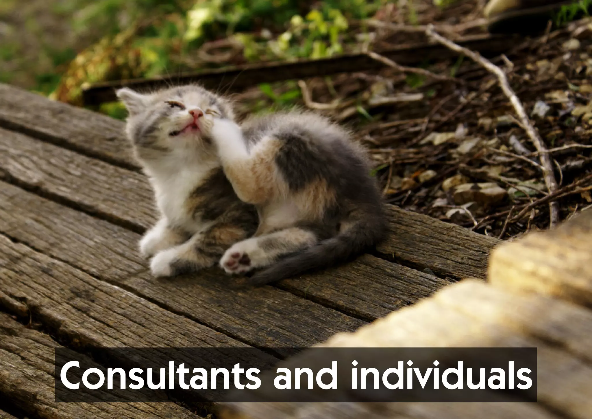 Consultants and individuals
 