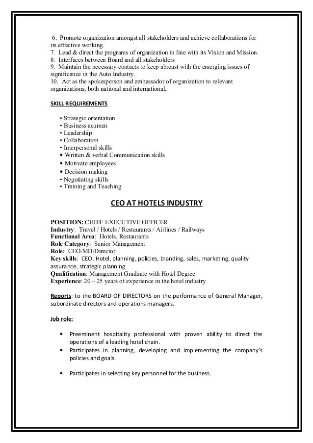 chief executive officer job description