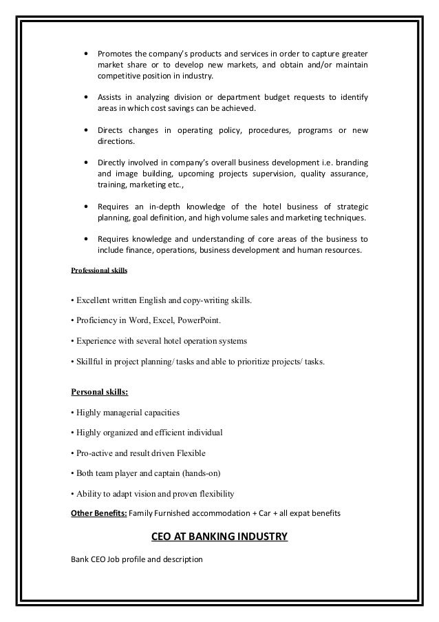 ceo description