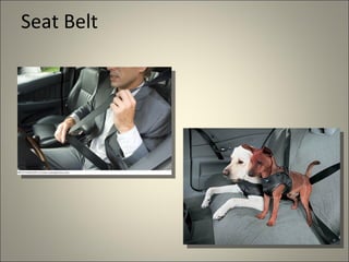 Seat Belt
 