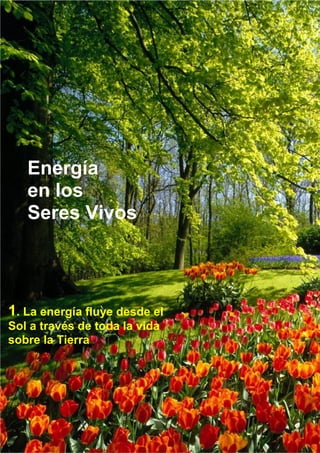 Energía
en los
Seres Vivos
1. La energía fluye desde el
Sol a través de toda la vida
sobre la Tierra
 