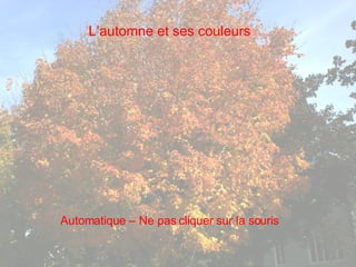 L’automne et ses couleurs Automatique – Ne pas cliquer sur la souris 