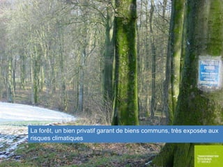 La forêt, un bien privatif garant de biens communs, très exposée aux
risques climatiques

 