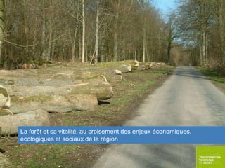 La forêt et sa vitalité, au croisement des enjeux économiques,
écologiques et sociaux de la région

 
