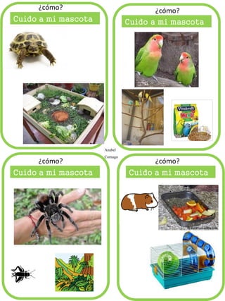 Cuido a mi mascota
Anabel
Cornago
 