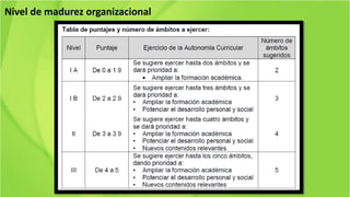 Nivel de madurez organizacional
 