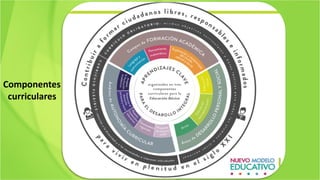 Componentes
curriculares
 
