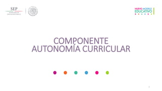 COMPONENTE
AUTONOMÍA CURRICULAR
1
 