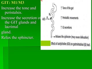 GIT: M1/M3
Increase the tone and
peristalsis.
Increase the secretion of
the GIT glands and
lacrimal
gland.
Relax the sphincter.
 