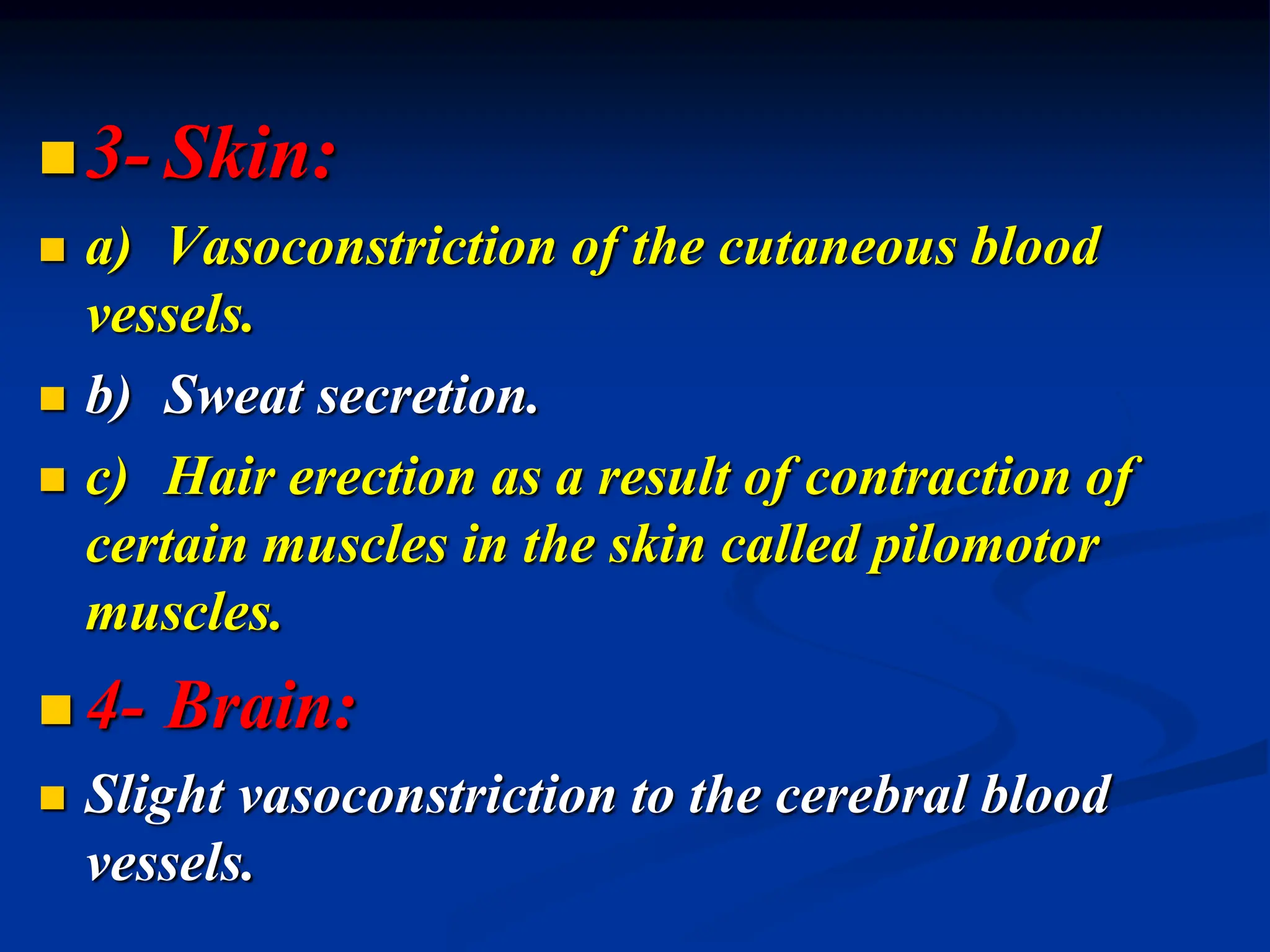 3- Skin:
 a) Vasoconstriction of the cutaneous blood
vessels.
 b) Sweat secretion.
 c) Hair erection as a result of contraction of
certain muscles in the skin called pilomotor
muscles.
 4- Brain:
 Slight vasoconstriction to the cerebral blood
vessels.
 