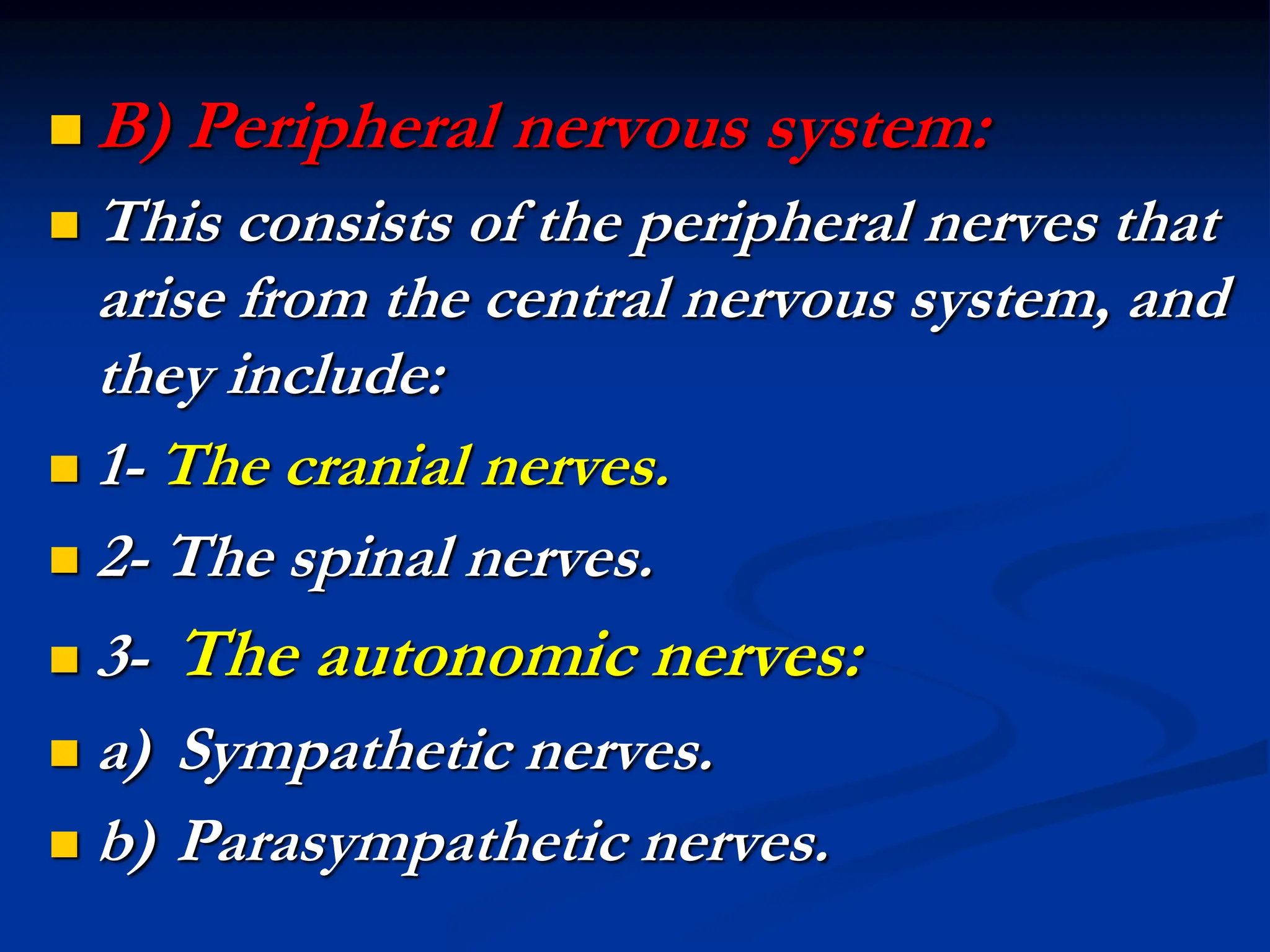  B) Peripheral nervous system:
 This consists of the peripheral nerves that
arise from the central nervous system, and
they include:
 1- The cranial nerves.
 2- The spinal nerves.
 3- The autonomic nerves:
 a) Sympathetic nerves.
 b) Parasympathetic nerves.
 