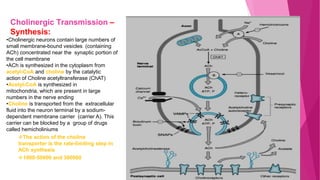 autonomic drugs ANS Lec 1.pptx