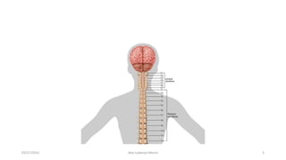 03/27/2023 Akal Lobenyo Morris 3
 