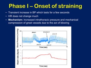 – Transient increase in BP which lasts for a few seconds
– HR does not change much
– Mechanism: increased intrathoracic pressure and mechanical
compression of great vessels due to the act of blowing
Phase I – Onset of straining
 