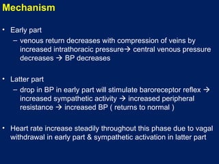 Mechanism
• Early part
– venous return decreases with compression of veins by
increased intrathoracic pressure central venous pressure
decreases  BP decreases
• Latter part
– drop in BP in early part will stimulate baroreceptor reflex 
increased sympathetic activity  increased peripheral
resistance  increased BP ( returns to normal )
• Heart rate increase steadily throughout this phase due to vagal
withdrawal in early part & sympathetic activation in latter part
 