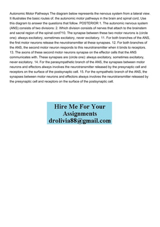 Autonomic Motor Pathways The diagram below represents the nervous system from a lateral view.
It illustrates the basic routes of. the autonomic motor pathways in the brain and spinal cord, Use
this diagram to answer the questions that follow. POSTERIOR 1. The autonomic nervous system
(ANS) consists of two divisions: 2. Which division consists of nerves that attach to the brainstem
and sacral region of the spinal cord?10. The synapse between these two motor neurons is (circle
one): always excitatory, sometimes excitatory, never excitatory. 11. For both branches of the ANS,
the first motor neurons release the neurotransmitter at these synapses. 12. For both branches of
the ANS, the second motor neuron responds to this neurotransmitter when it binds to receptors.
13. The axons of these second motor neurons synapse on the effector cells that the ANS
communicates with. These synapses are (circle one): always excitatory, sometimes excitatory,
never excitatory. 14. For the parasympathetic branch of the ANS, the synapses between motor
neurons and effectors always involves the neurotransmitter released by the presynaptic cell and
receptors on the surface of the postsynaptic cell. 15. For the sympathetic branch of the ANS, the
synapses between motor neurons and effectors always involves the neurotransmitter released by
the presynaptic cell and receptors on the surface of the postsynaptic cell.
 