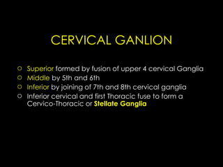 CERVICAL GANLION
○ Superior formed by fusion of upper 4 cervical Ganglia
○ Middle by 5th and 6th
○ Inferior by joining of 7th and 8th cervical ganglia
○ Inferior cervical and first Thoracic fuse to form a
Cervico-Thoracic or Stellate Ganglia
 