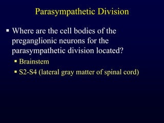 Parasympathetic DivisionWhere are the cell bodies of the preganglionic neurons for the parasympathetic division located?BrainstemS2-S4 (lateral gray matter of spinal cord)