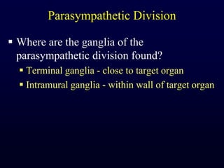 Parasympathetic DivisionWhere are the ganglia of the parasympathetic division found?Terminal ganglia - close to target organIntramural ganglia - within wall of target organ
