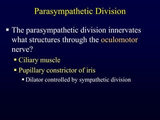 Parasympathetic DivisionThe parasympathetic division innervates what structures through the oculomotor nerve?Ciliary musclePupillary constrictor of irisDilator controlled by sympathetic division