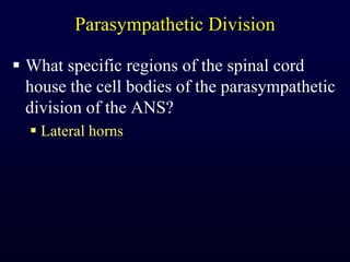 Parasympathetic DivisionWhat specific regions of the spinal cord house the cell bodies of the parasympathetic division of the ANS?Lateral horns