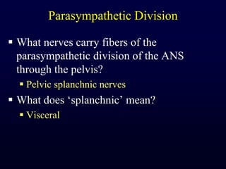 Parasympathetic DivisionWhat nerves carry fibers of the parasympathetic division of the ANS through the pelvis?Pelvic splanchnic nervesWhat does ‘splanchnic’ mean?Visceral