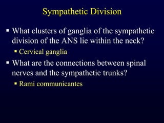 Sympathetic DivisionWhat clusters of ganglia of the sympathetic division of the ANS lie within the neck?Cervical gangliaWhat are the connections between spinal nerves and the sympathetic trunks?Rami communicantes