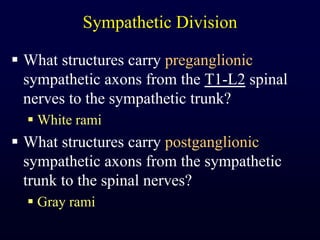 Sympathetic DivisionWhat structures carry preganglionic sympathetic axons from the T1-L2 spinal nerves to the sympathetic trunk?White ramiWhat structures carry postganglionic sympathetic axons from the sympathetic trunk to the spinal nerves?Gray rami