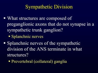 Sympathetic DivisionWhat structures are composed of preganglionic axons that do not synapse in a sympathetic trunk ganglion?Splanchnic nervesSplanchnic nerves of the sympathetic division of the ANS terminate in what structures?Prevertebral (collateral) ganglia