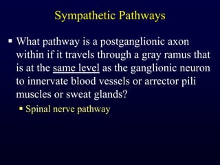 Sympathetic PathwaysWhat pathway is a postganglionic axon within if it travels through a gray ramus that is at the same level as the ganglionic neuron to innervate blood vessels or arrector pili muscles or sweat glands?Spinal nerve pathway