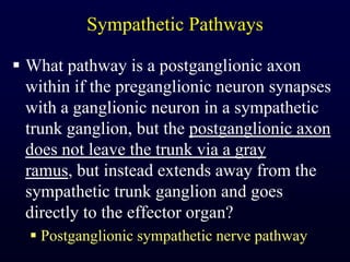Sympathetic PathwaysWhat pathway is a postganglionic axon within if the preganglionic neuron synapses with a ganglionic neuron in a sympathetic trunk ganglion, but the postganglionic axon does not leave the trunk via a gray ramus, but instead extends away from the sympathetic trunk ganglion and goes directly to the effector organ?Postganglionic sympathetic nerve pathway