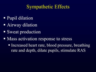 Sympathetic EffectsPupil dilationAirway dilationSweat productionMass activation response to stressIncreased heart rate, blood pressure, breathing rate and depth, dilate pupils, stimulate RAS