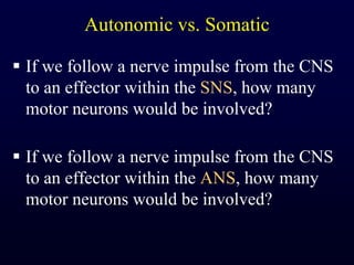 Autonomic vs. SomaticIf we follow a nerve impulse from the CNS to an effector within the SNS, how many motor neurons would be involved?If we follow a nerve impulse from the CNS to an effector within the ANS, how many motor neurons would be involved?