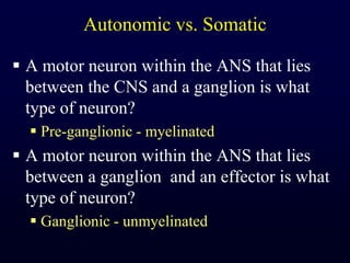 Autonomic vs. SomaticA motor neuron within the ANS that lies between the CNS and a ganglion is what type of neuron?Pre-ganglionic - myelinatedA motor neuron within the ANS that lies between a ganglion  and an effector is what type of neuron?Ganglionic - unmyelinated