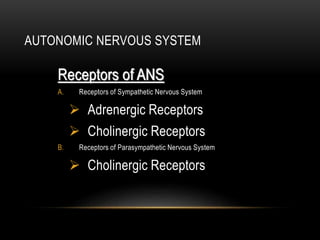 AUTONOMIC NERVOUS SYSTEM
Receptors of ANS
A. Receptors of Sympathetic Nervous System
 Adrenergic Receptors
 Cholinergic Receptors
B. Receptors of Parasympathetic Nervous System
 Cholinergic Receptors
 