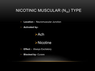 NICOTINIC MUSCULAR (NM) TYPE
• Location - Neuromuscular Junction
• Activated by-
Ach
Nicotine
• Effect – Always Excitatory
• Blocked by- Curare
 