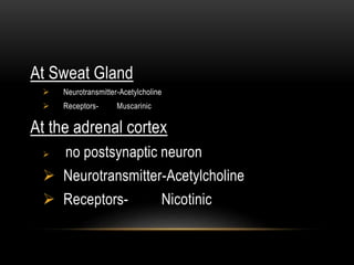 At Sweat Gland
 Neurotransmitter-Acetylcholine
 Receptors- Muscarinic
At the adrenal cortex
 no postsynaptic neuron
 Neurotransmitter-Acetylcholine
 Receptors- Nicotinic
 