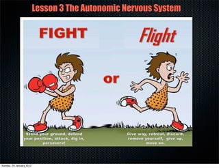 Lesson 3 The Autonomic Nervous System




Sunday, 29 January 2012
 