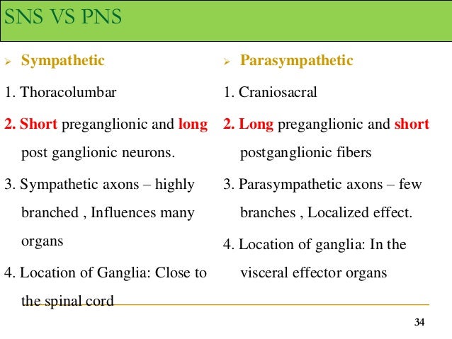 relationship and differences between the central and peripheral nervous system essay relationship and differences between the central and peripheral nervous system essay