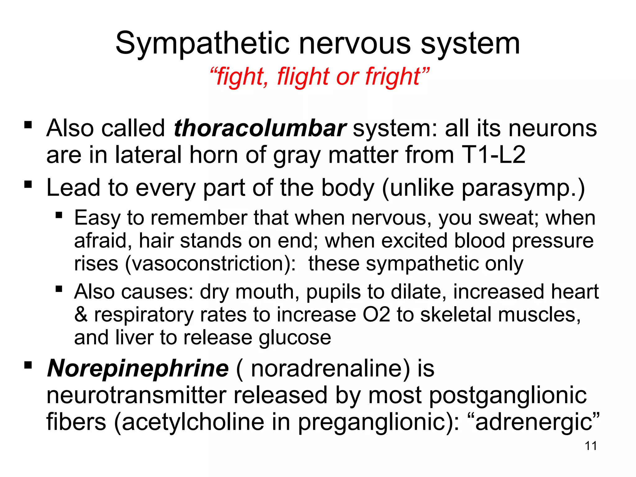 11
Sympathetic nervous system
“fight, flight or fright”
 Also called thoracolumbar system: all its neurons
are in lateral horn of gray matter from T1-L2
 Lead to every part of the body (unlike parasymp.)
 Easy to remember that when nervous, you sweat; when
afraid, hair stands on end; when excited blood pressure
rises (vasoconstriction): these sympathetic only
 Also causes: dry mouth, pupils to dilate, increased heart
& respiratory rates to increase O2 to skeletal muscles,
and liver to release glucose
 Norepinephrine ( noradrenaline) is
neurotransmitter released by most postganglionic
fibers (acetylcholine in preganglionic): “adrenergic”
 