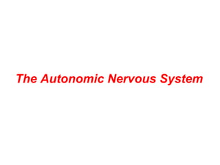 The Autonomic Nervous System
 