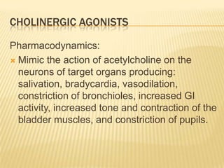 CHOLINERGIC AGONISTS
Pharmacodynamics:
 Mimic the action of acetylcholine on the
neurons of target organs producing:
salivation, bradycardia, vasodilation,
constriction of bronchioles, increased GI
activity, increased tone and contraction of the
bladder muscles, and constriction of pupils.
 