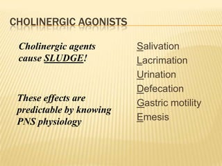 CHOLINERGIC AGONISTS
Salivation
Lacrimation
Urination
Defecation
Gastric motility
Emesis
Cholinergic agents
cause SLUDGE!
These effects are
predictable by knowing
PNS physiology
 