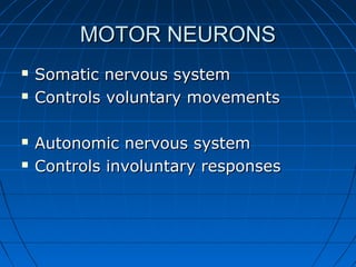 MOTOR NEURONSMOTOR NEURONS
 Somatic nervous systemSomatic nervous system
 Controls voluntary movementsControls voluntary movements
 Autonomic nervous systemAutonomic nervous system
 Controls involuntary responsesControls involuntary responses
 