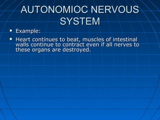 AUTONOMIOC NERVOUSAUTONOMIOC NERVOUS
SYSTEMSYSTEM
 Example:Example:
 Heart continues to beat, muscles of intestinalHeart continues to beat, muscles of intestinal
walls continue to contract even if all nerves towalls continue to contract even if all nerves to
these organs are destroyed.these organs are destroyed.
 