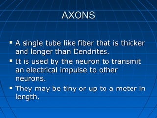 AXONSAXONS
 A single tube like fiber that is thickerA single tube like fiber that is thicker
and longer than Dendrites.and longer than Dendrites.
 It is used by the neuron to transmitIt is used by the neuron to transmit
an electrical impulse to otheran electrical impulse to other
neurons.neurons.
 They may be tiny or up to a meter inThey may be tiny or up to a meter in
length.length.
 