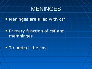 MENINGES
 Meninges are filled with csf
 Primary function of csf and
memninges
 To protect the cns
 